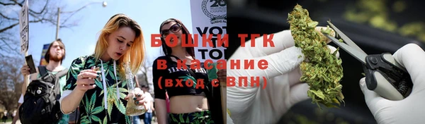 стафф Богданович