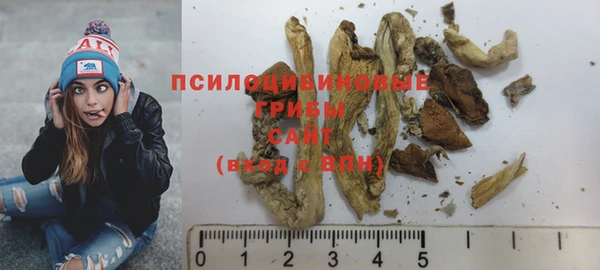 дурь Белоозёрский