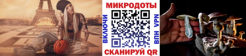 OMG онион Светлогорск Псилоцибиновые грибы Magic Shrooms